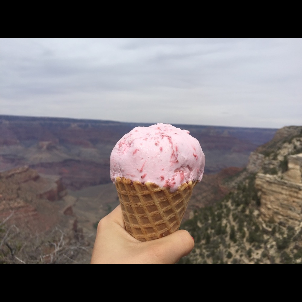 Meet your Posher, Annie